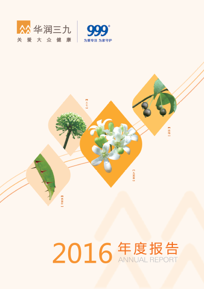 win必赢：2016年年度汇报