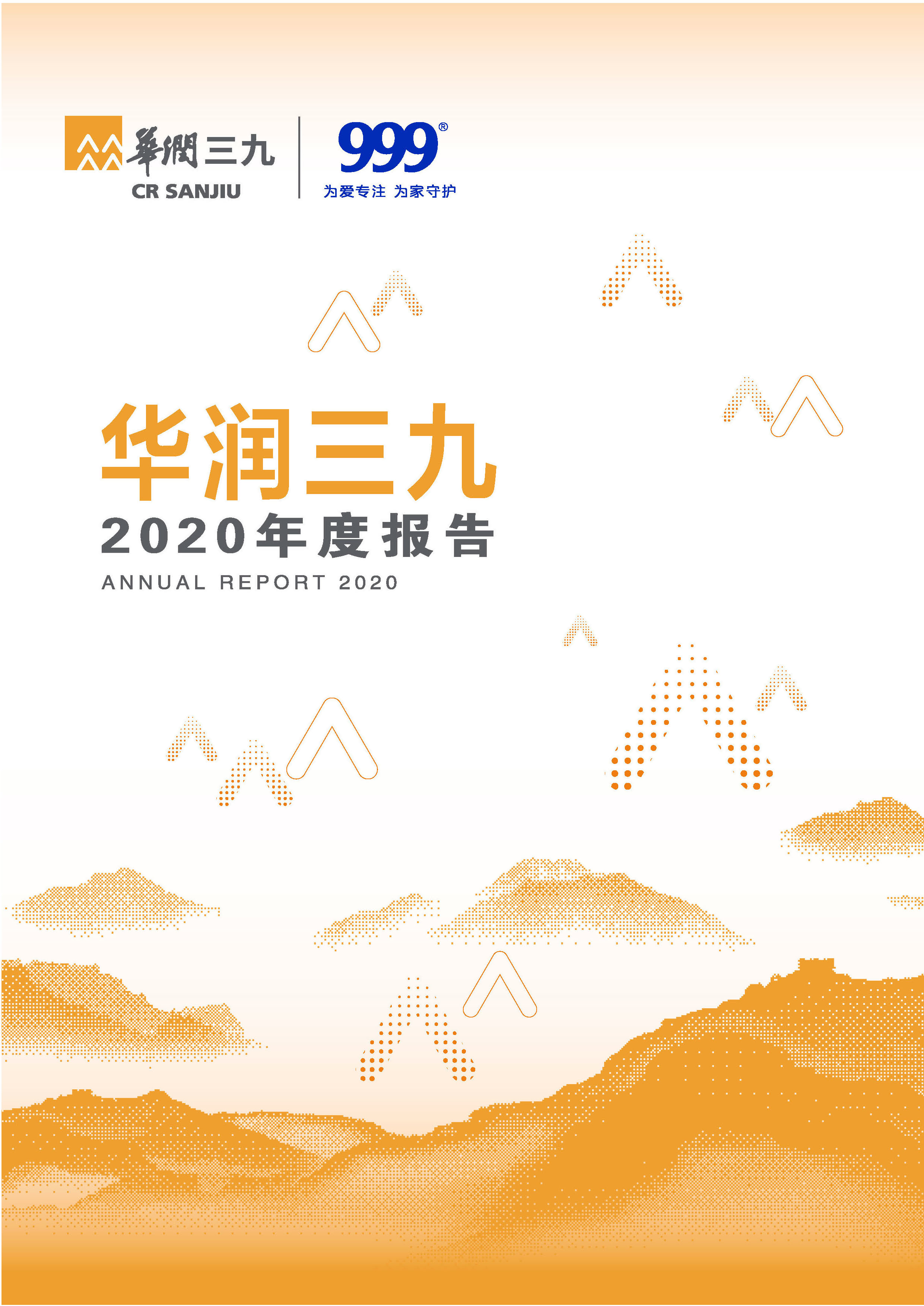 win必赢：2020年年度汇报